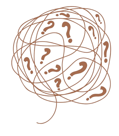 Why choose our product